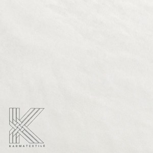 کاپریس 1 کاپریس 1
