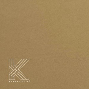 کاپریس 13