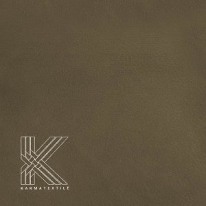 کاپریس 19 کاپریس 19