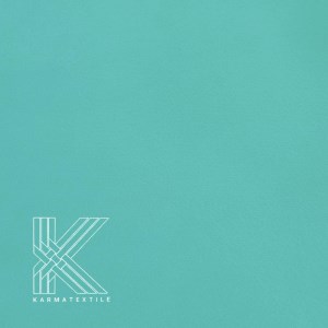 کاپریس 60